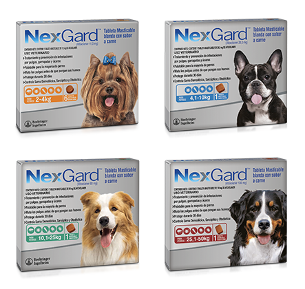 Tableta Masticable Nexgard para Perros de 4-10 kg