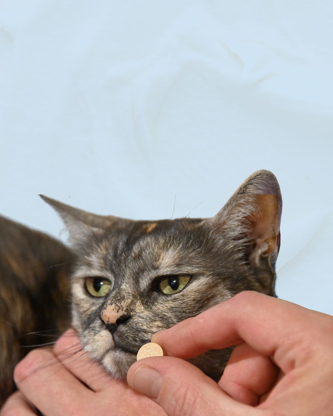 Suplementos & Vitaminas Para Mascotas