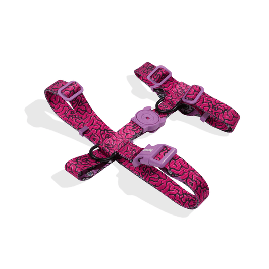 Zeedog XS - Arnés H Zeedog Para Perro Lords Of Zee.Town Brain