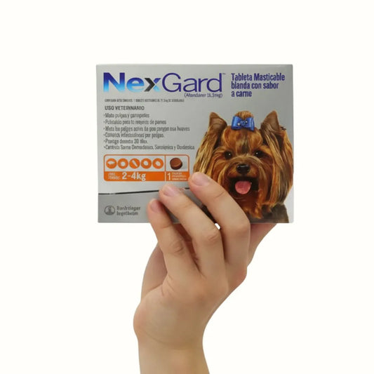 Tableta Masticable Nexgard para Perros de 2-4 kg